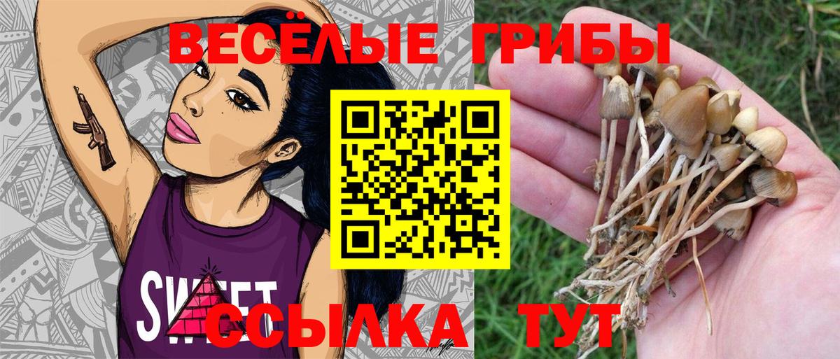 Галлюциногенные грибы ЛСД Феодосия